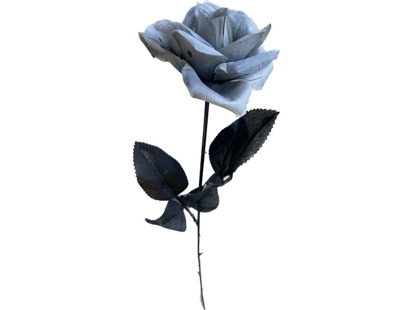 Grå Rose