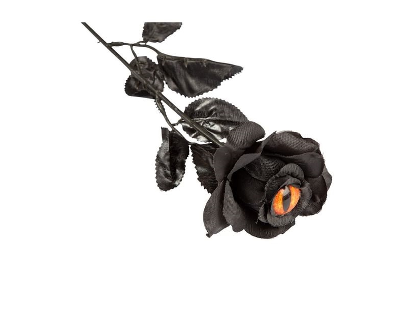 Schwarze Rose Mit Auge