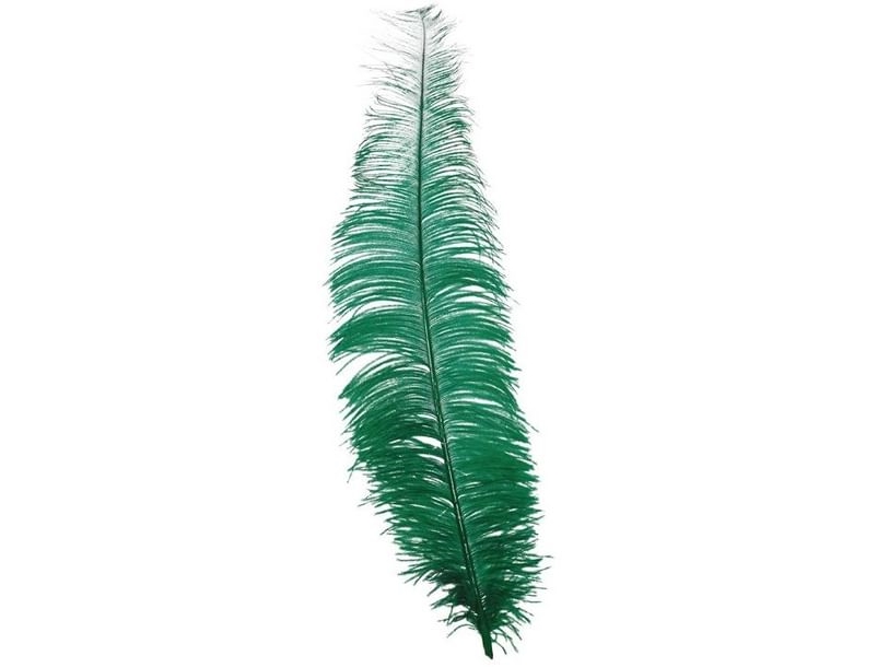 Grønne Strudsfjer 35-45 Cm, 12 Stk
