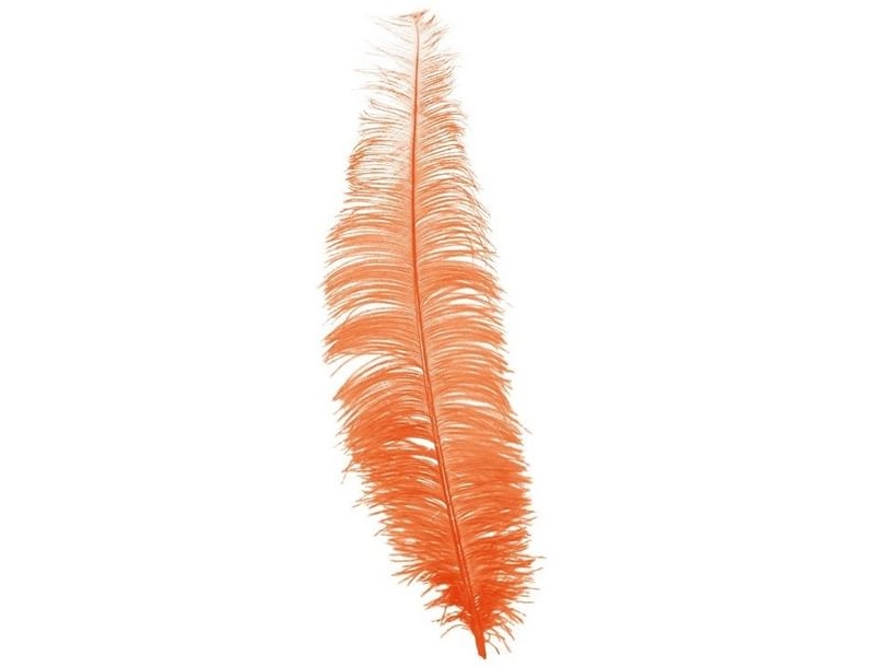Orange Strudsefjer 35-45 Cm, 12 Stk