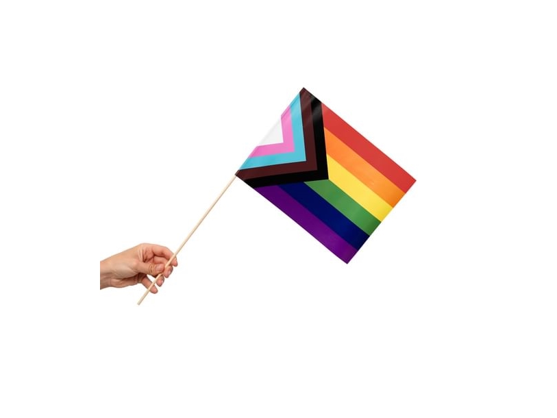 Lgbtq+ Flag På Pind, 10 Stk