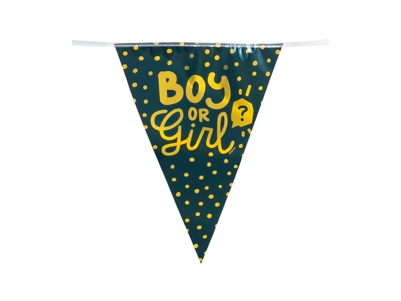 Gender Reveal - Boy Or Girl Vimpelguirlande, 6 M