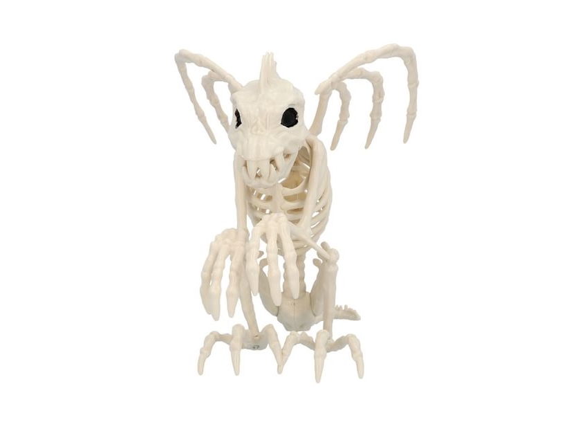 Gargoil-Skelett