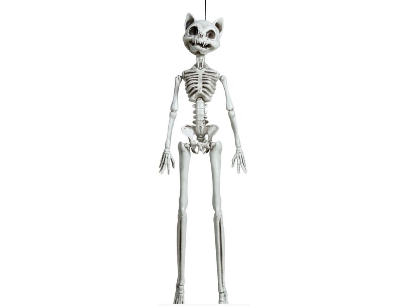 Hængende Katteskelet, 37 Cm