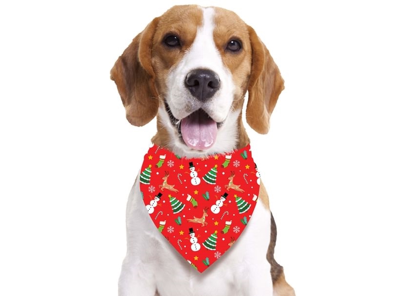 Roter Weihnachtsschal Für Hunde