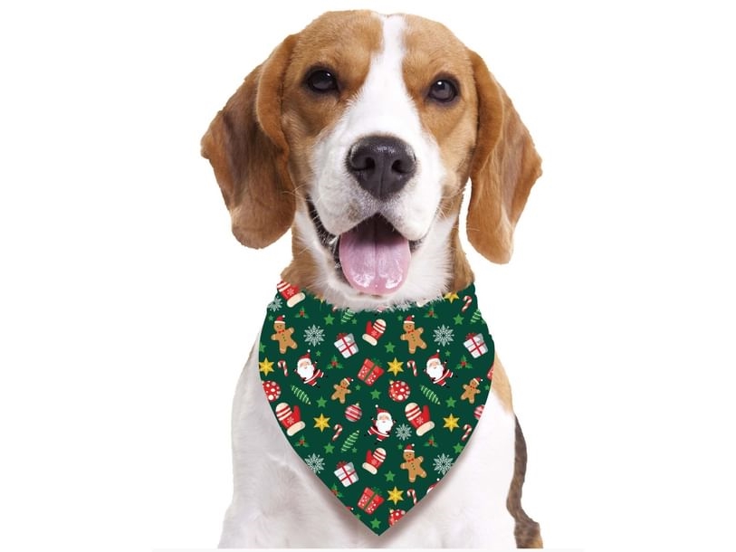 Grüner Weihnachtsschal Für Hunde