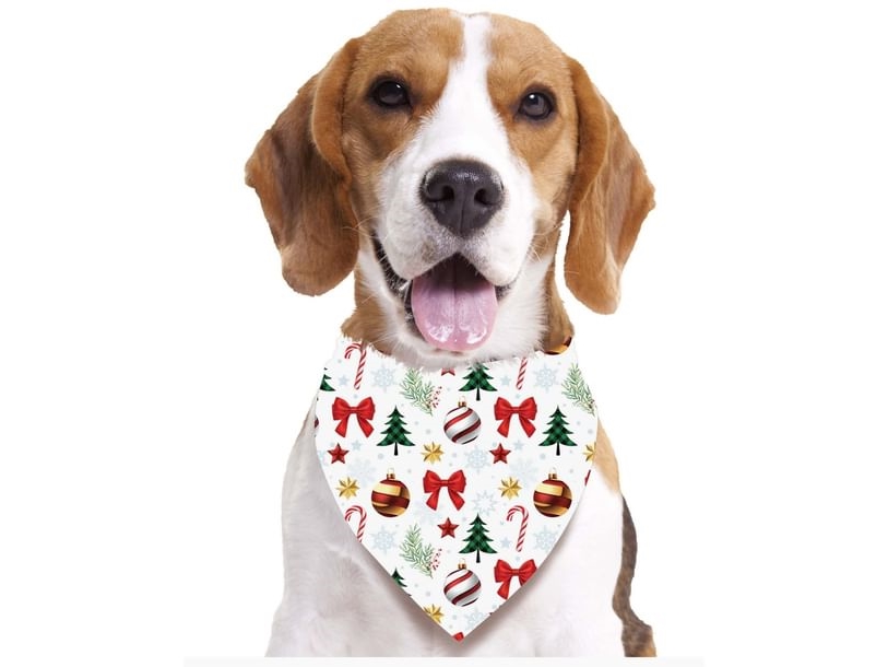 Weißer Weihnachtsschal Für Hunde
