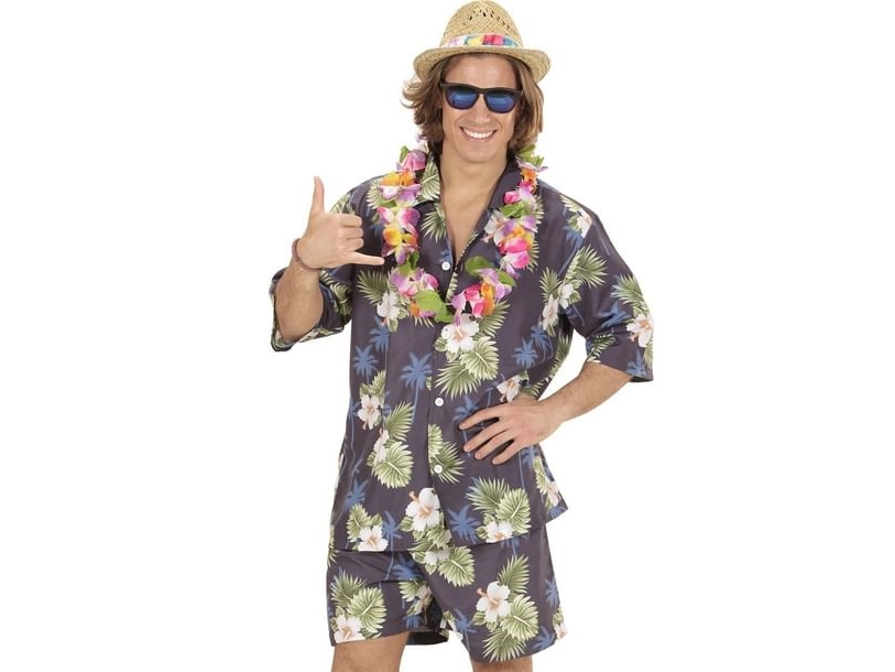 Hawaii skjorte og shorts
