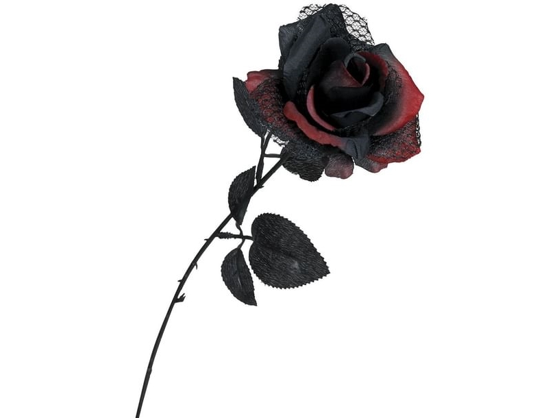 Schwarze Und Rote Rose