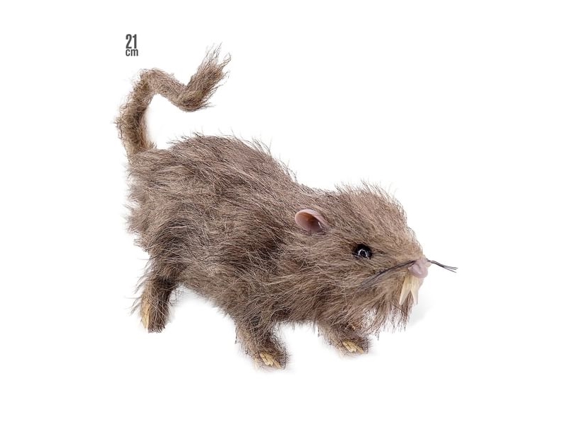 Ratte Mit Fell