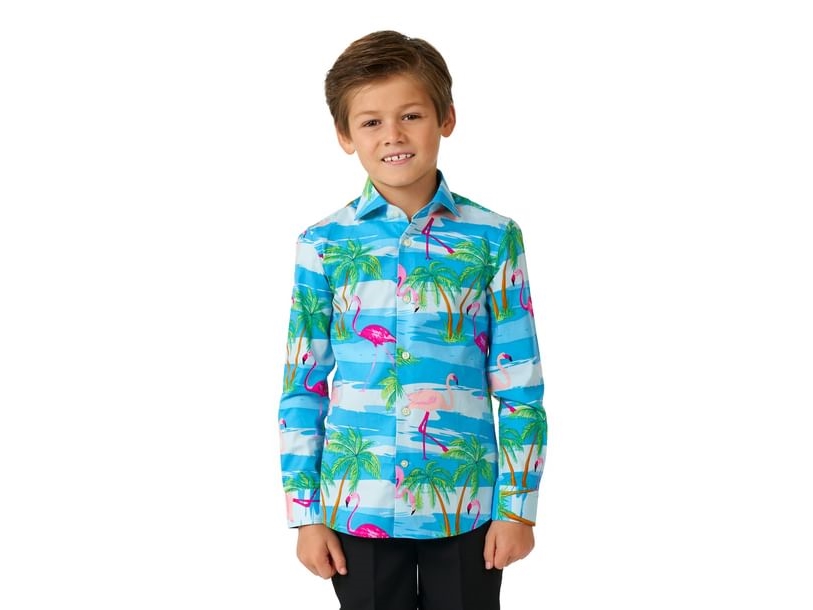 Flamingohemd, Junge