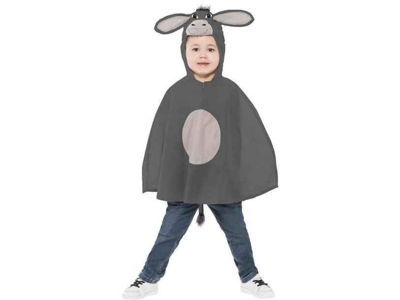 Esel-Poncho