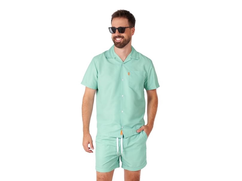 Sommerset Magische Minze