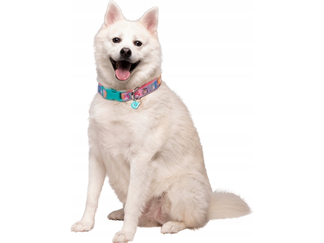 Jas Pets Obroża Dla Psa L