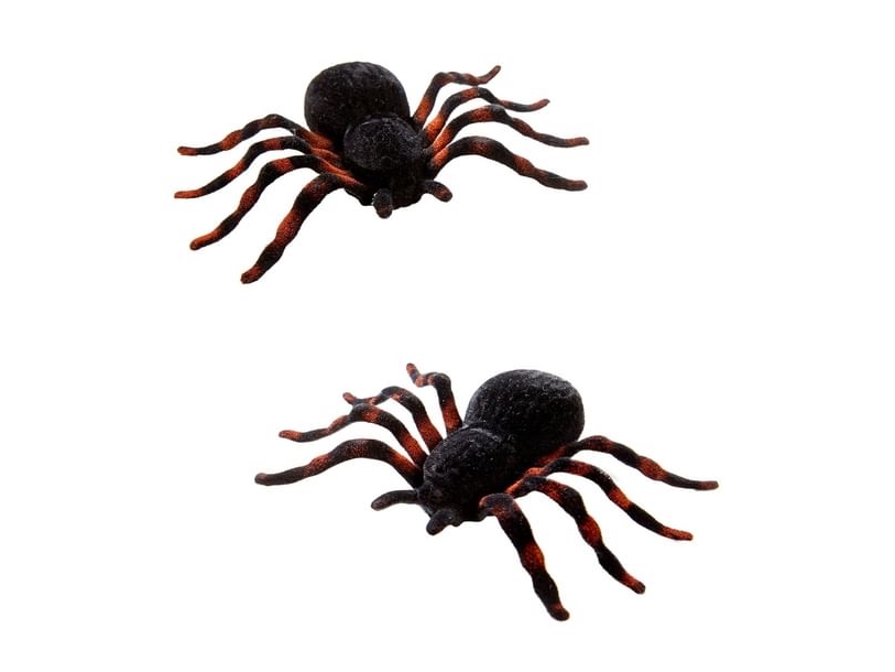 Spinnen, 10 Cm