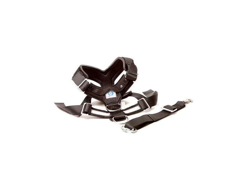 Hundesele Mimsafe Allsafe - Small