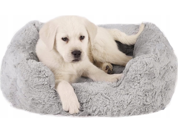 Barry King Best Friends Lounge Lux Legowisko 50X38 Cm Hellgrau