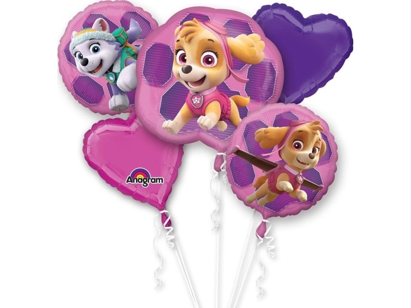 Paw Patrol Skye & Eve Folieballon Buket