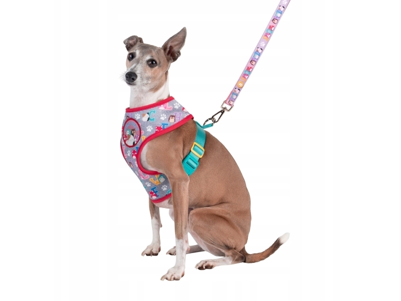 Squishmallows Pet Dog Harness L Squad