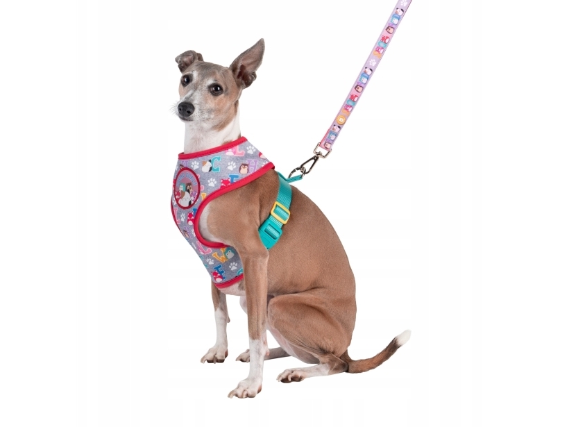 Squishmallows Pet Dog Harness M Squad