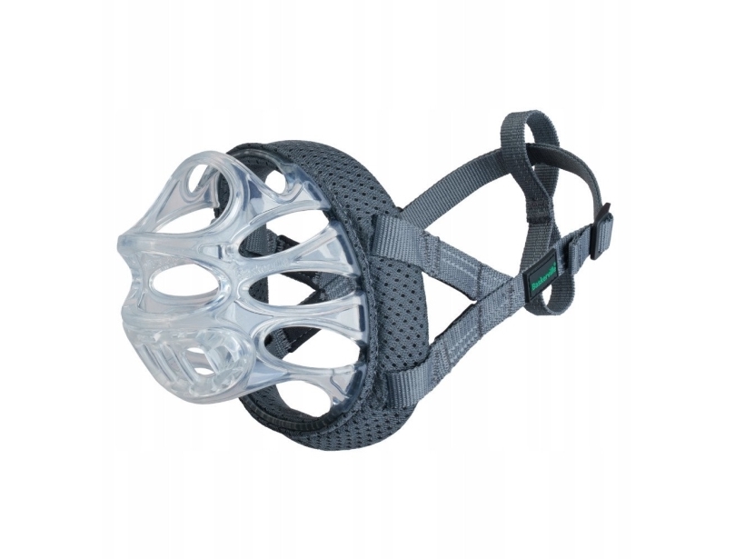 Baskerville Kaganiec Invisa 1