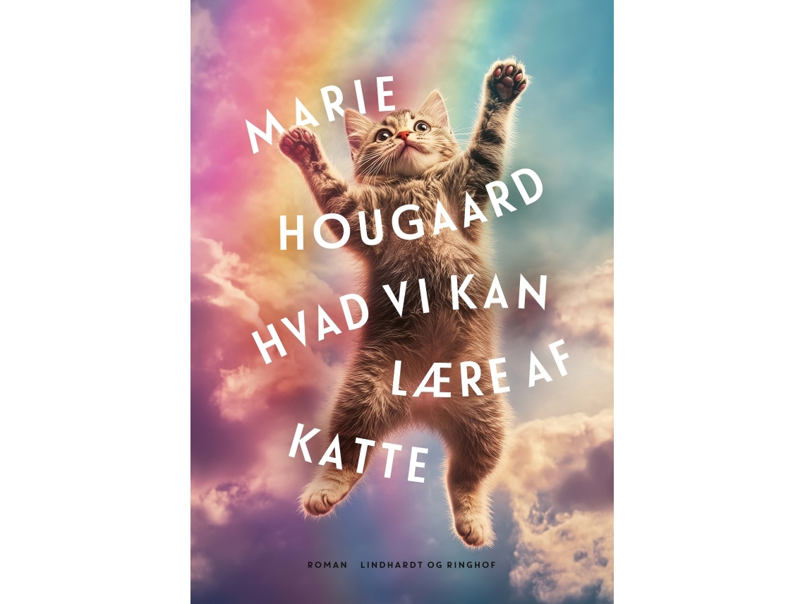 Hvad Vi Kan Lære Af Katte | Marie Hougaard