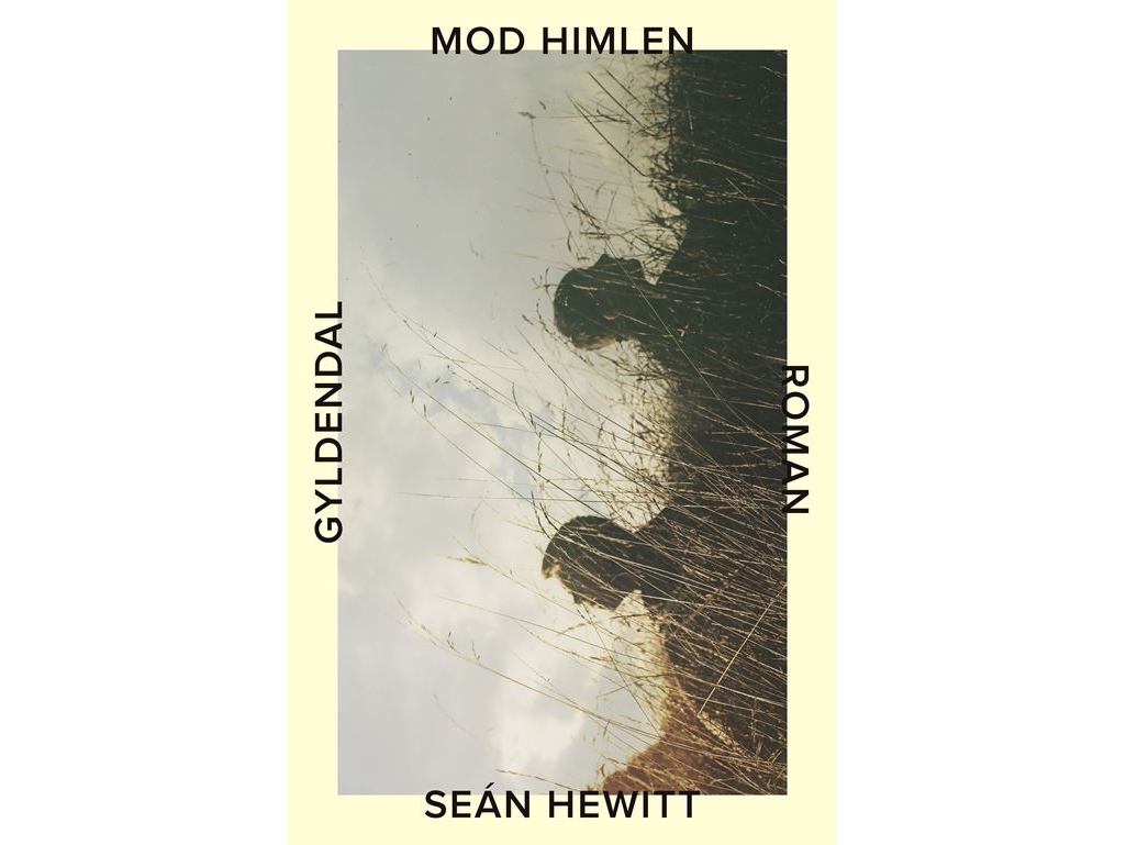 Dem Himmel Entgegen | Seán Hewitt | Sprache: Dänish