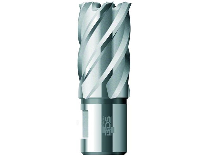 Bds Kernbohrer Hss Standard 22,0Mm Schnitt.30Mm Weldon-Aufnahme (Kbk-022)