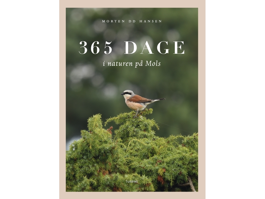 365 dage i naturen på Mols Morten DD Hansen Språk: Danska | Böcker - Natur | GameStuff