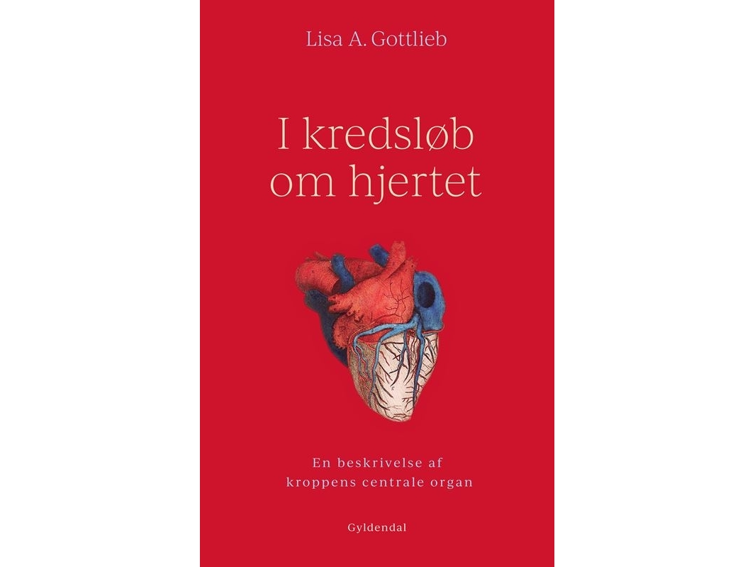 Um Das Herz Kreisen | Lisa A. Gottlieb | Sprache: Dänish