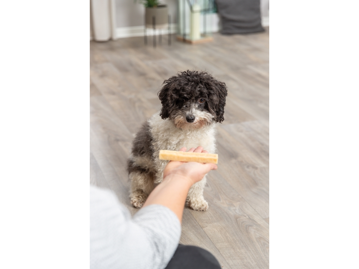 Trixie Chewing cheese, M: 13.5 cm, 75 g - (12 pk/ps) | Djurmärken - Tillbehör - Trixie | GameStuff