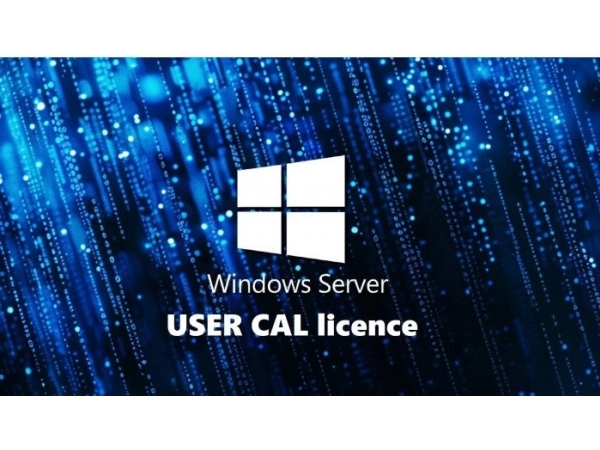 Microsoft Windows Server 2025 - Licens - 1 bruger CAL