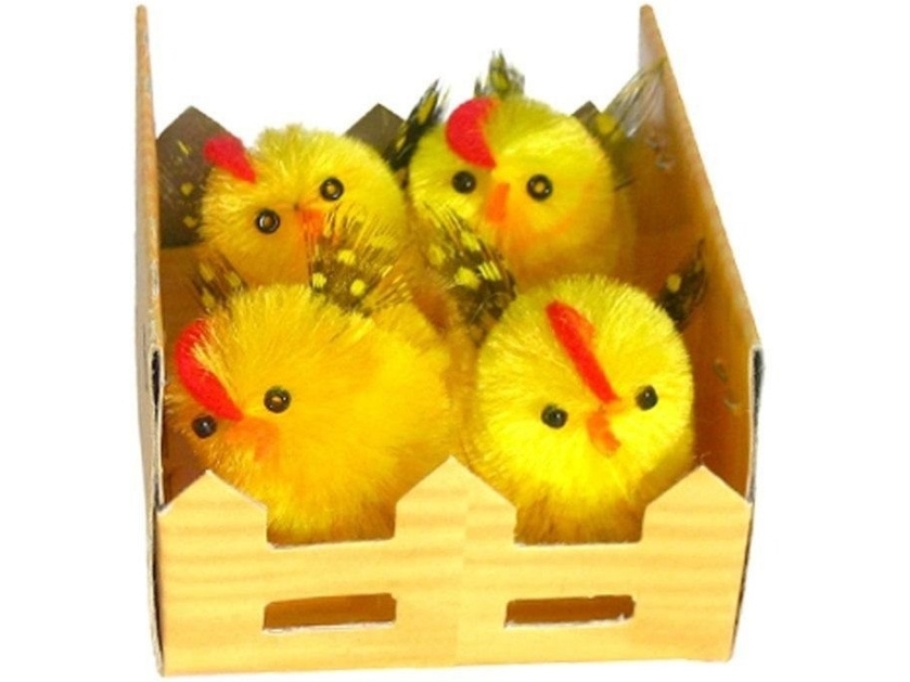 Ostern Wachteln 4Pc Edukamp