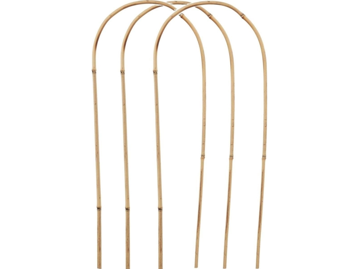 Stöd för bambuplantor Palak 3 st Progarden | Trädgården - Jord & Växter - Växtstöd | GameStuff