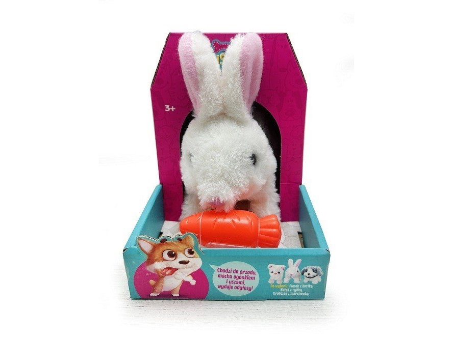 Rabbit Walking With A Carrot
