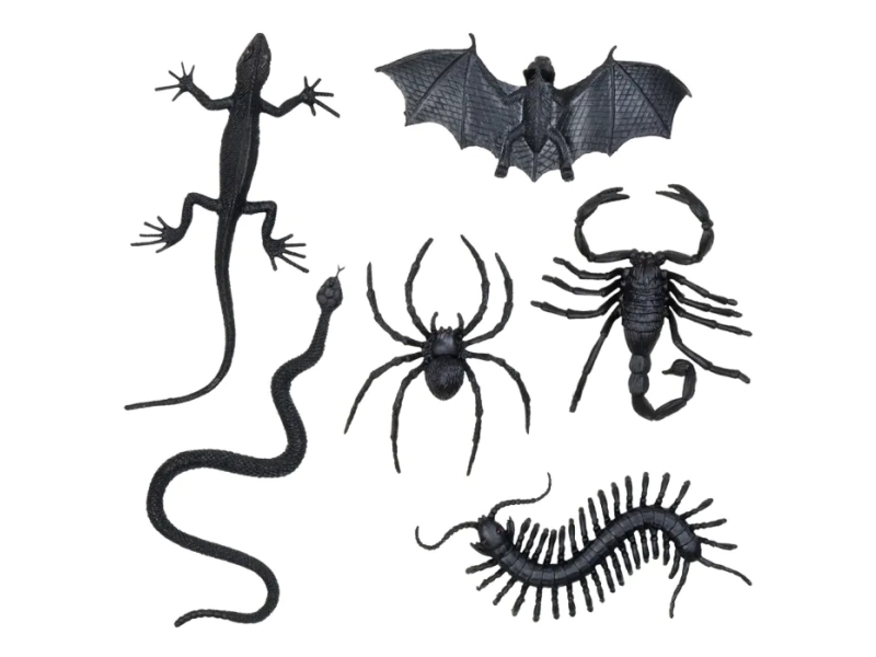 Creepy Creatures