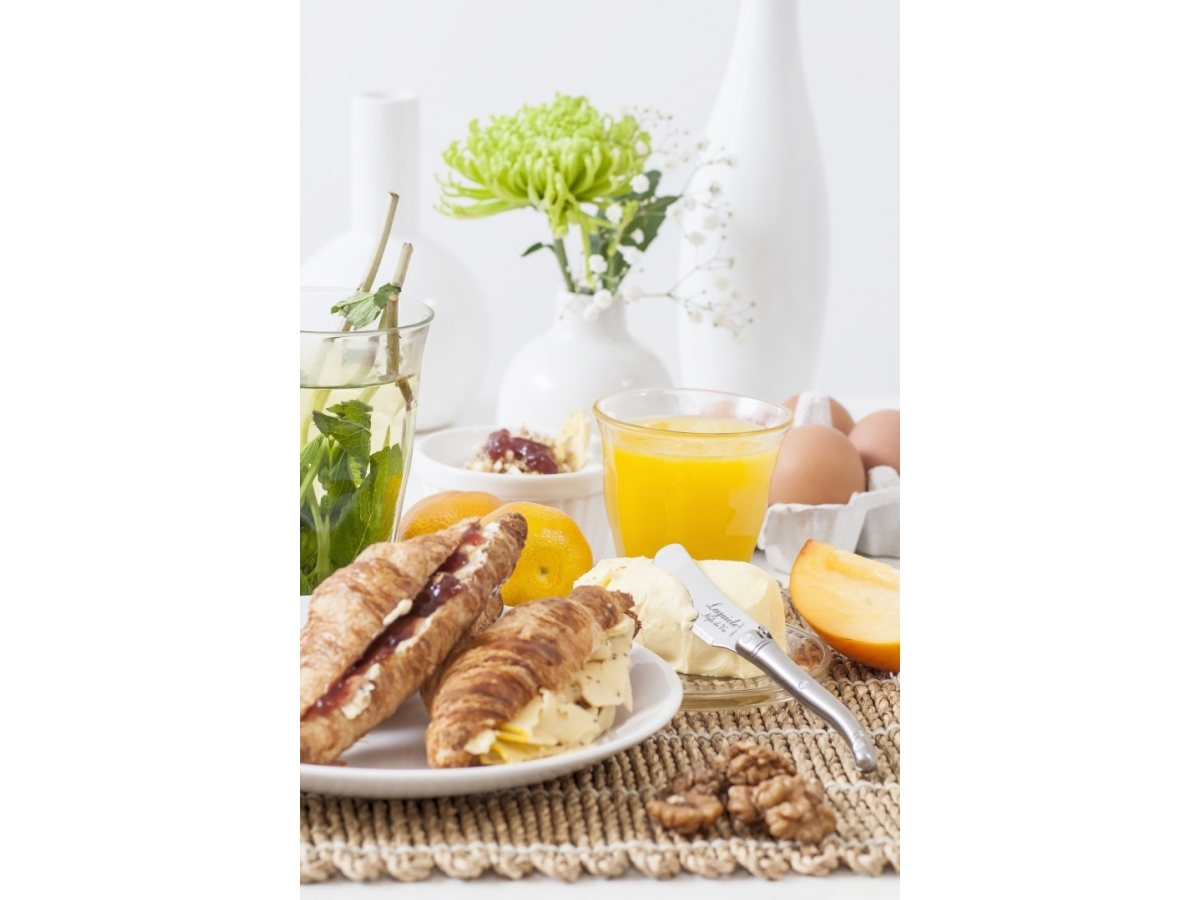 LAGUIOLE Butter knives Laguiole Stainless Steel SET 4 SdV | Bordssättning - Bestick - Bestickset | GameStuff