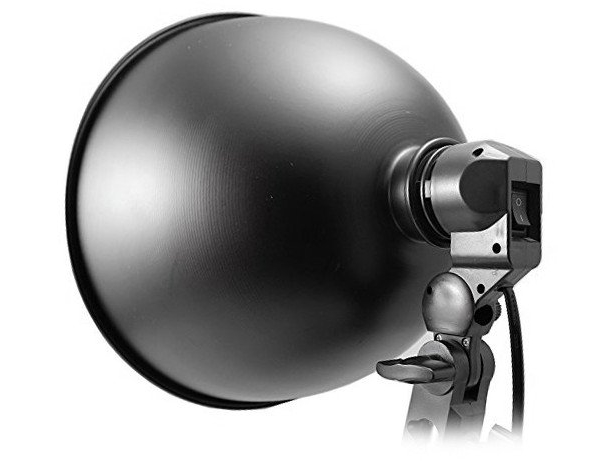 Single Lampholder For A Light Bulb And A Umbrella