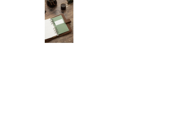 Filofax Systemkalendar Camden Personal Mocha