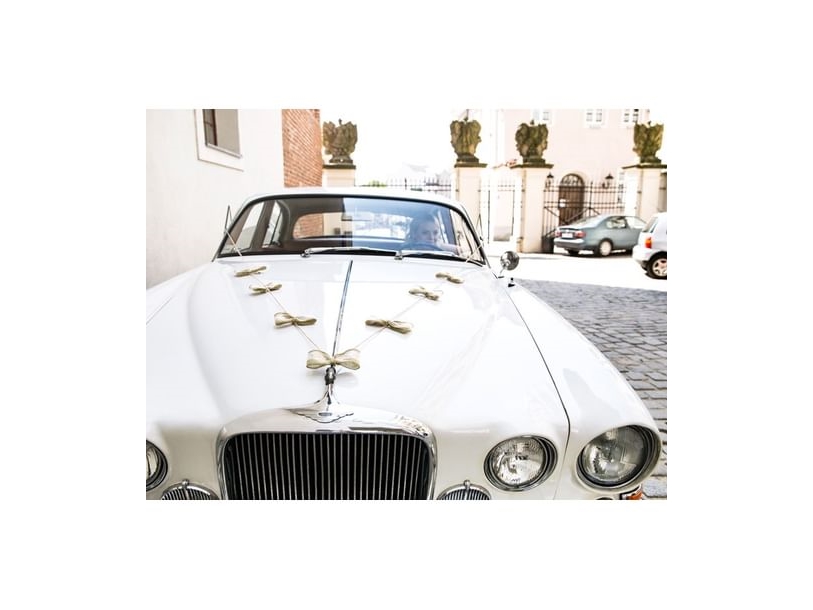 Häät auton koristelu pakki