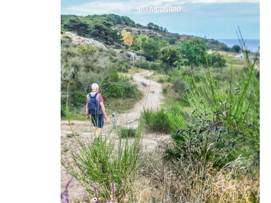 Højlyngtien på Bornholm Ulla Conrad Språk: Danska | Böcker - Resor & Geografi | GameStuff