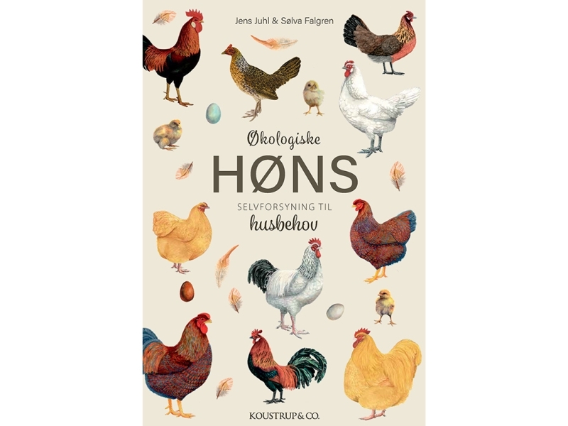 Ekologiska kycklingar Jens Juhl och Sølva Falgren Språk: Danska | Böcker - Hus, Trädgård & Husdjur | GameStuff