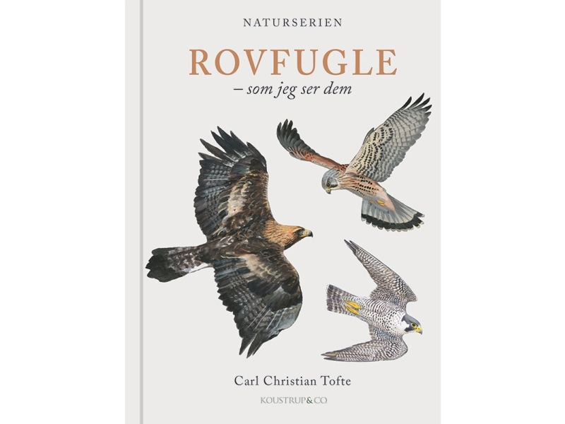 Rovfugle | Carl Christian Tofte