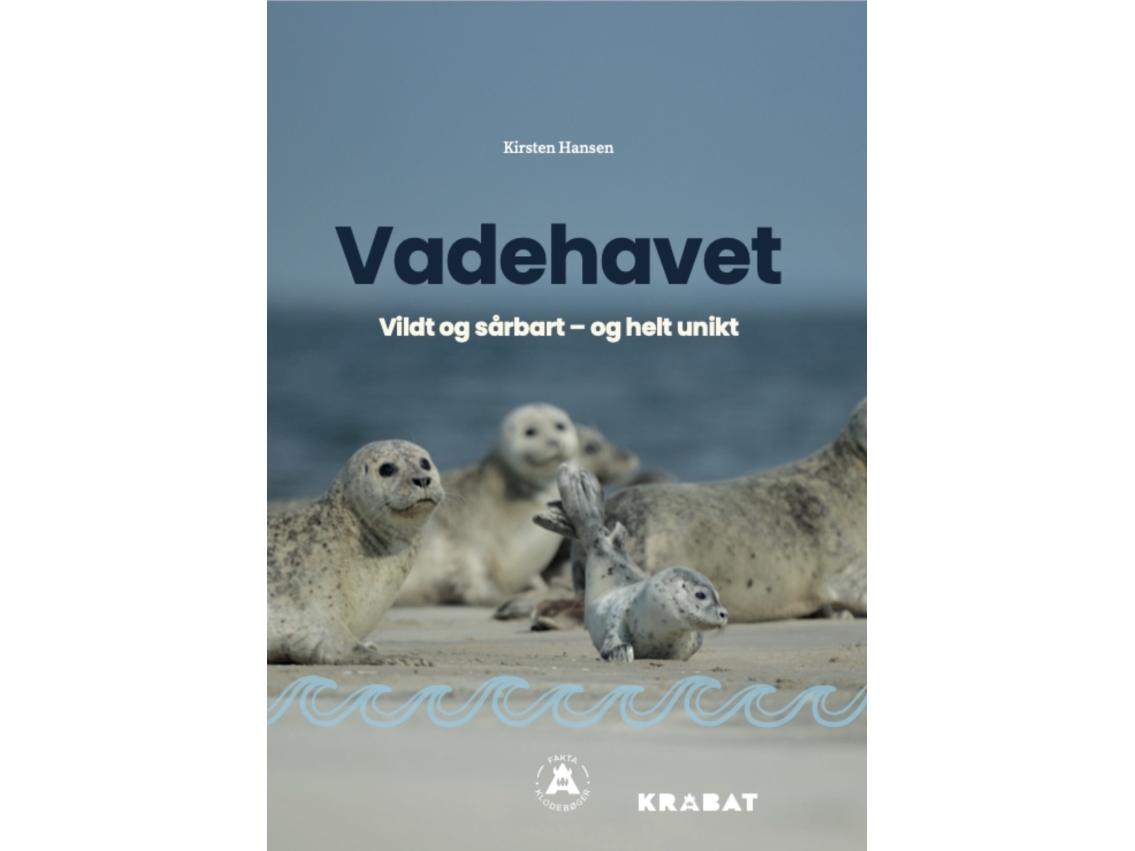 Vadehavet | Kirsten Hansen