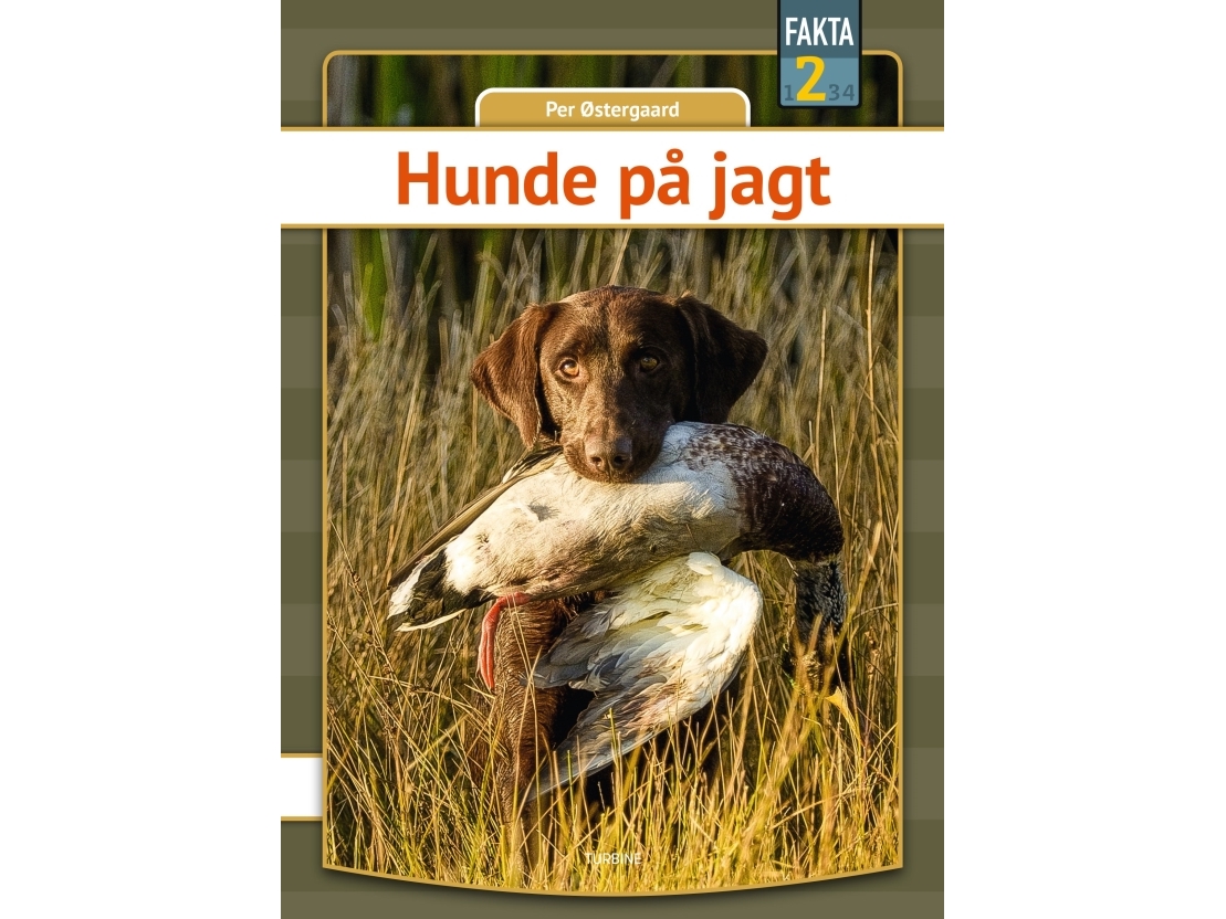 Hunde På Jagt | Per Østergaard