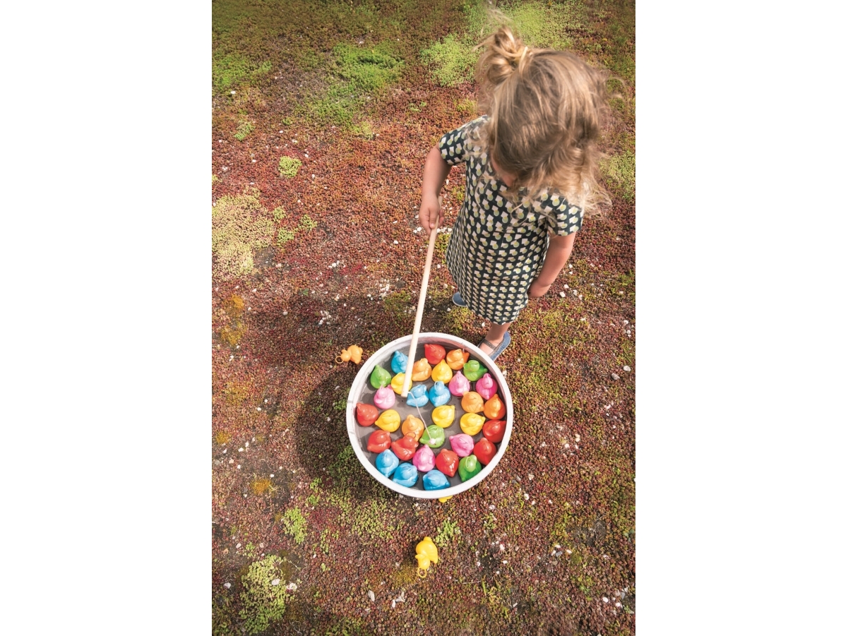 Fisk en and - regnbue