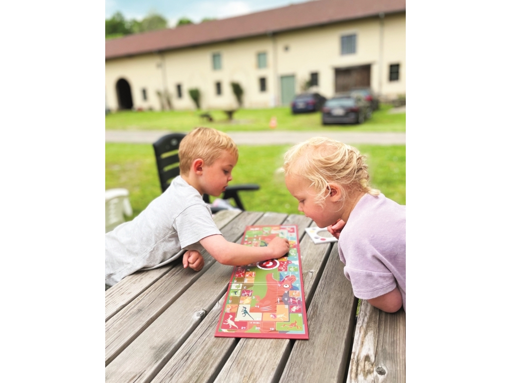 Magnetisk rejsespil - dinosaurusser uden gæs