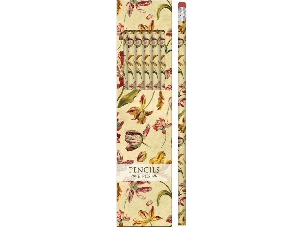 Amscan Deko-Stifte Stpen16 Tulpen - Set Mit 6 Stück