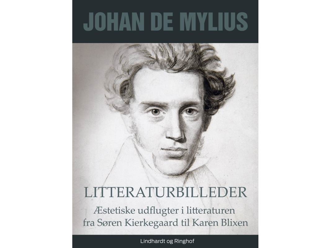 Litteraturbilleder: Æstetiske Udflugter I Litteraturen Fra Søren Kierkegaard Til Karen Blixen | Johan De Mylius