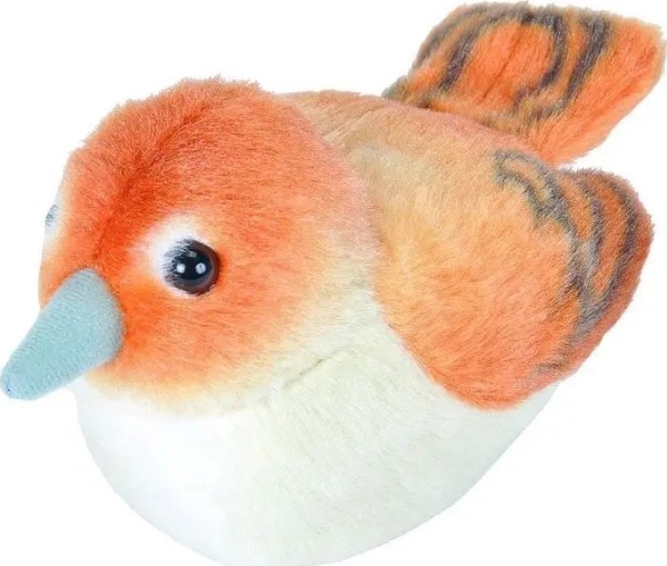 Fremeaux Wild Republic Birds With Sound Nightingale